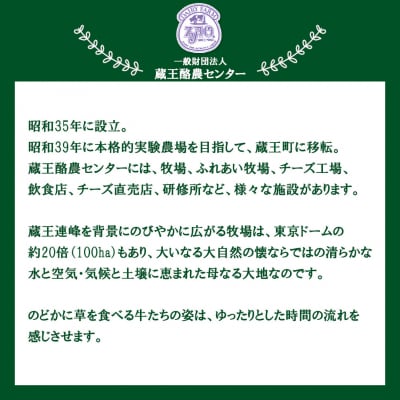 蔵王チーズ　蔵王山麓発酵バター 170g×2個　【04301-0815】