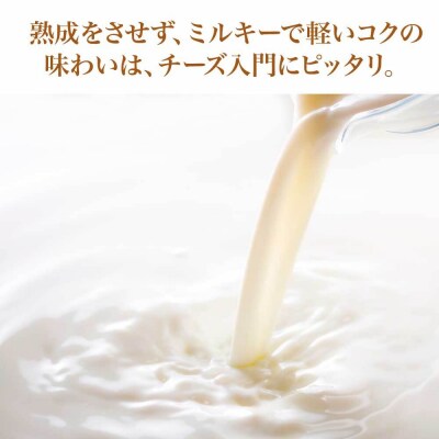 蔵王チーズ　蔵王ミルクキューブ　90g×3個セット　【04301-0816】
