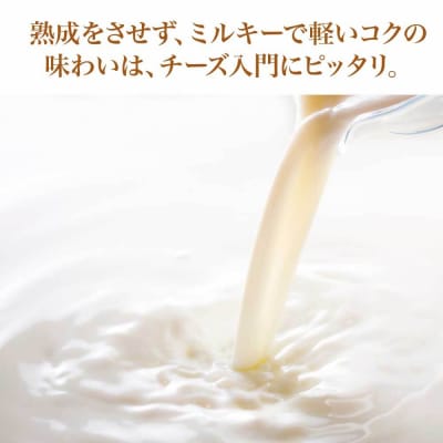 蔵王チーズ　蔵王ミルクキューブ　90g×6個セット　【04301-0817】