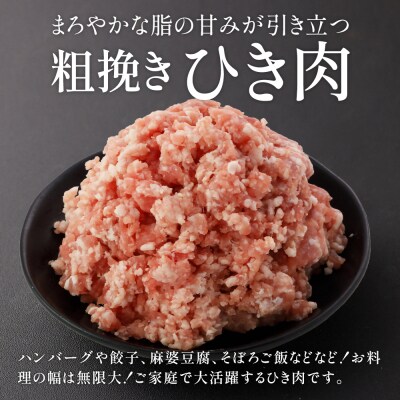 JAPAN X ひき肉 200g×5 計1kg【04301-0884】