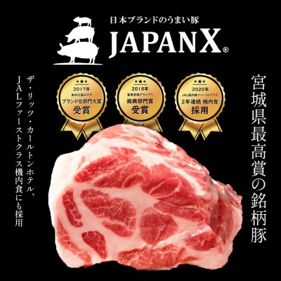 JAPAN X ひき肉 200g×10 計2kg【04301-0885】