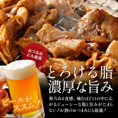 JAPAN X 味付ホルモン 300g×10 計3kg【04301-0882】
