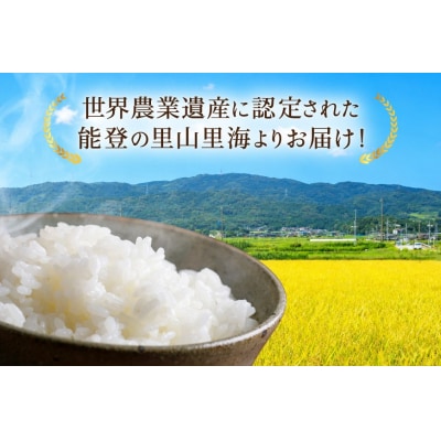 期間限定発送 米 定期便 コシヒカリ 10kg 3回 計 30kg [農家にしの 38601173]
