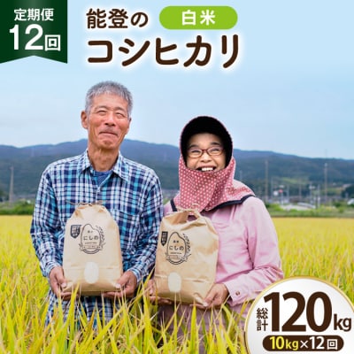 期間限定発送 米 定期便 コシヒカリ 10kg 12回 計120kg 農家にしの 38601410