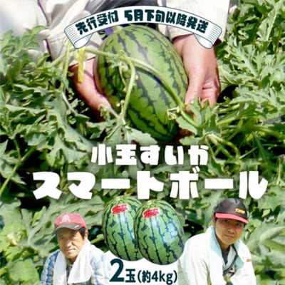 【先行受付 2027年5月下旬以降発送】 小玉 すいか スマートボール 2玉 約 4kg