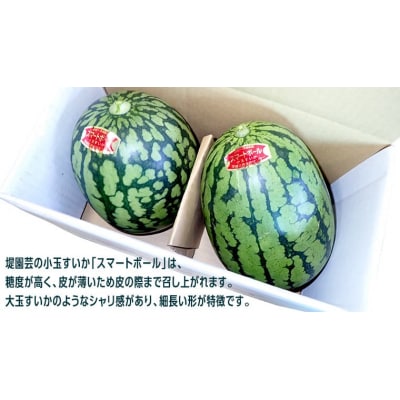 【先行受付 2027年5月下旬以降発送】 小玉 すいか スマートボール 2玉 約 4kg