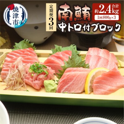 【定期便3回】南鮪 中トロ付ブロック 8人前(約800g) ×3回(b120-012)