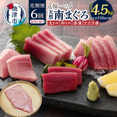 天然南まぐろとたたき身 6回お届け (b150-031)