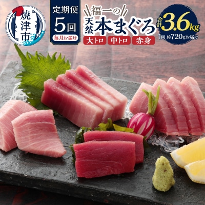 【定期便】 天然本まぐろセット 5回届け(b200-036)