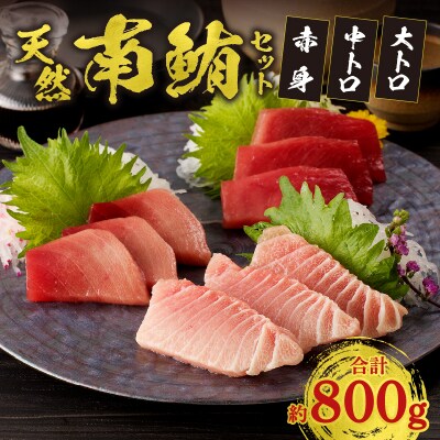 『鮪の魚二』天然南鮪大トロ中トロ赤身約800gセット(a40-076)