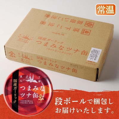 焼津のガーリックツナ 新製品1ケース レシピ付(a16-209)
