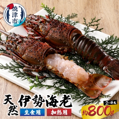 伊勢海老 三昧セットA 刺身用+焼物用(a40-075)