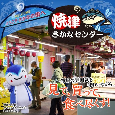 焼津 天然 南 まぐろ中トロ 付き セット 2(a30-172)