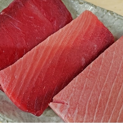 【定期便6回】天然南鮪・大トロ・中トロ・赤身(約1.4kg)(b500-010)