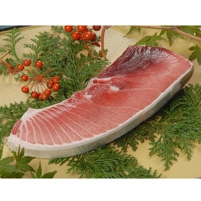 【定期便 6回】 南鮪・大トロ・中トロ(約1kg)(b200-027)