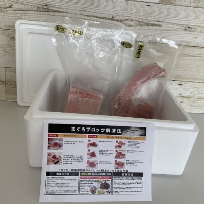 【定期便 6回】 南鮪・大トロ・中トロ(約1kg)(b200-027)
