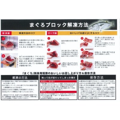 【定期便 3回】南鮪・大トロ・中トロセット(計1kg)(b100-039)