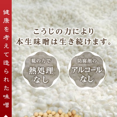 【定期便 3回】 味噌 食べ比べ + 金山寺セット(a29-011)