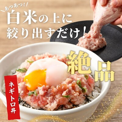 焼津 天然 鮪 使用 ネギトロ 小分け 約100g×15(a12-069)