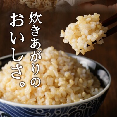 令和7年産 別格 玄米 10kg コシヒカリ(a22-074)