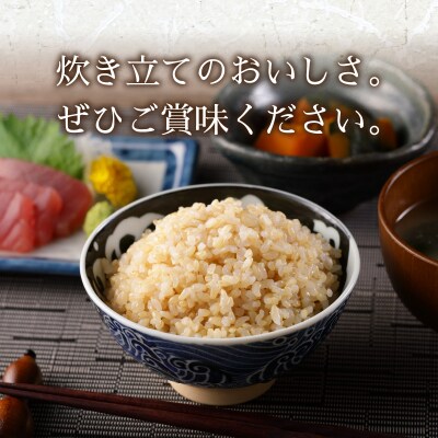 令和7年産 別格 こしひかり 玄米 5kg(a11-210)