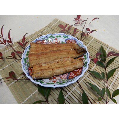 国産 うなぎ 蒲焼き 約100g×6袋(a28-008)