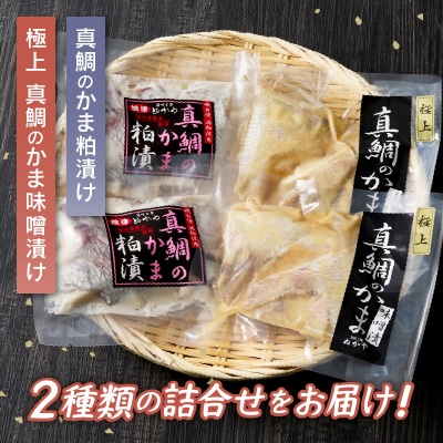 焼津ぬかや真鯛のかま味噌漬け&粕漬け(a10-610)