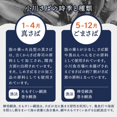 国産 天然 塩さば フィレ 肉厚 個包装(a16-194)