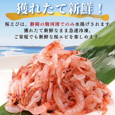焼津特選 生桜えび100g×3(a10-679)