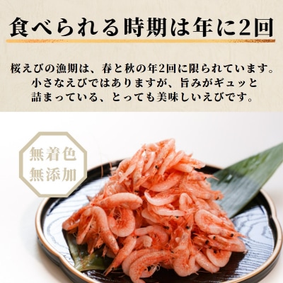 釜揚げ桜えび100g×3(a10-680)