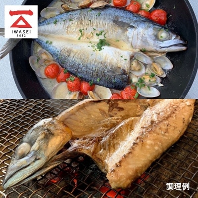「塩鯖6セット」(a18-111)
