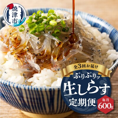 【定期便 3 】生しらす100g 6個×3回(a30-234)