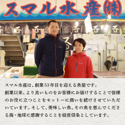 焼津 天然 南 まぐろ 中トロ 付き セット3(a50-095)