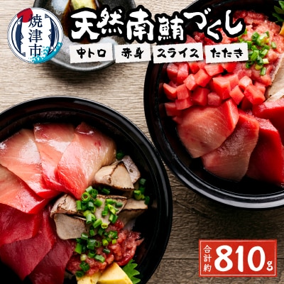 総重量約800g!天然南鮪づくし(a20-242)