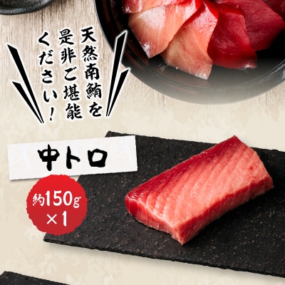 総重量約800g!天然南鮪づくし(a20-242)