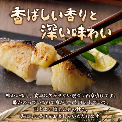 【定期便3回】 銀ダラ 西京漬け 90g×6切(a30-243)