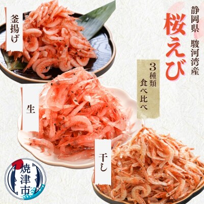 【定期便3回お届け】焼津特選桜えび3種類食べ比べ (b100-049)