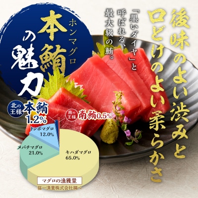 マグロ 赤身 訳あり 刺身 ホンマグロ 天身 約500g(a10-1077)