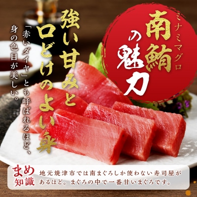 マグロ 赤身 訳あり 刺身 ミナミマグロ 天身 約500g(a10-1078)