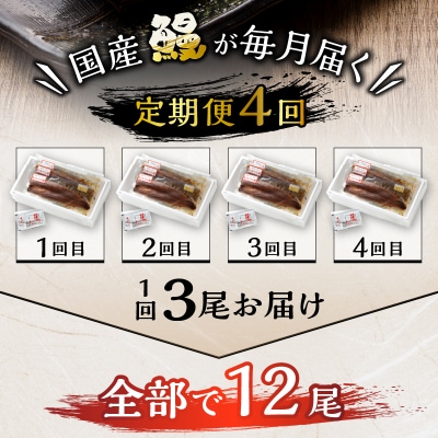 【定期便4回】 鰻 長焼き(b100-058)