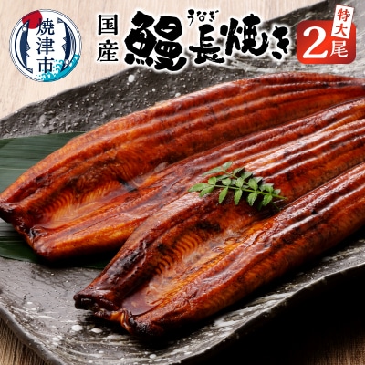 鰻 長焼き 2尾 セット(a18-042)