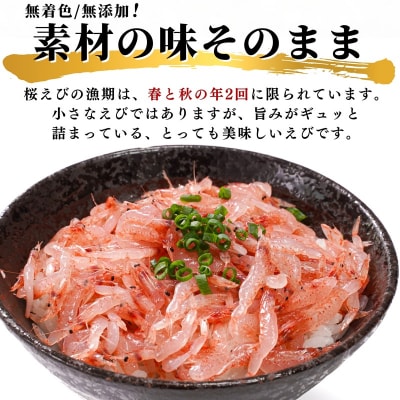 焼津特選 生桜えび 100g×5(a15-562)