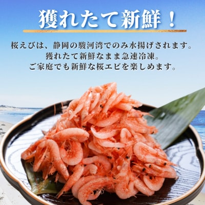 焼津特選 釜揚げ桜えび 100g×5(a15-560)