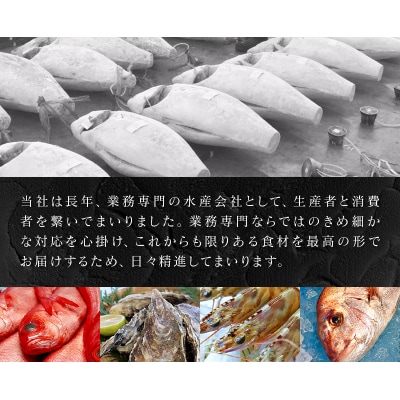【定期便6回】キボシ水産 天然南鮪 大トロ 中トロ 赤身食べ比べ約500g×6回(b100-065)