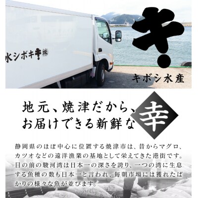 【定期便3回】キボシ水産 天然南鮪 大トロ 中トロ 赤身食べ比べ約1kg×3回(b100-066)