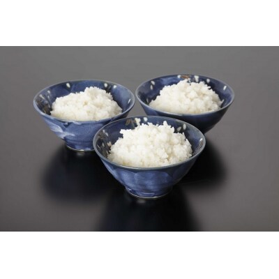 非常食 白いご飯 20食 防災 備蓄 キャンプ 5年保存(a20-405)