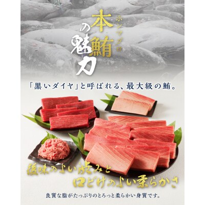 天然本まぐろ 南まぐろ食べ比べセット 4回隔月でお届け(b100-072)