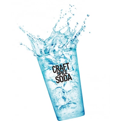 サッポロ クラフトスパイスソーダ 350ml×24本(a13-099)