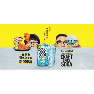 サッポロ クラフトスパイスソーダ 350ml×24本(a13-099)
