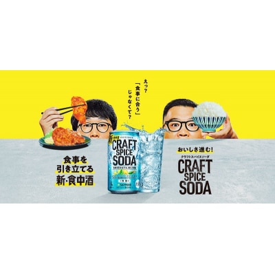 サッポロ クラフトスパイスソーダ 500ml×24本(a17-121)